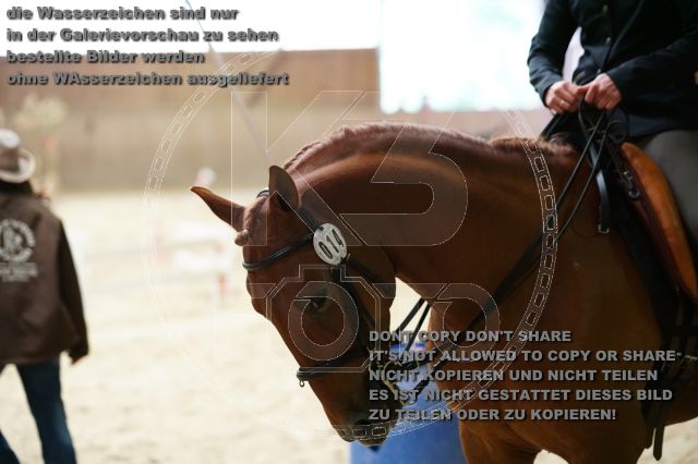 s_K3F08182.JPG
